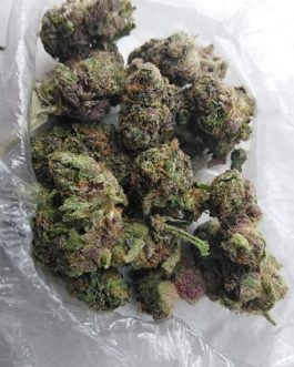 Gelato Strain (THC 20%)
