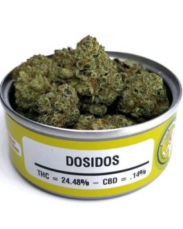 Space Monkey Meds Dosidos
