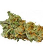 Super Lemon Haze (THC: 25%)