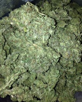 Super Lemon Haze Strain (THC 25%)/28 grams